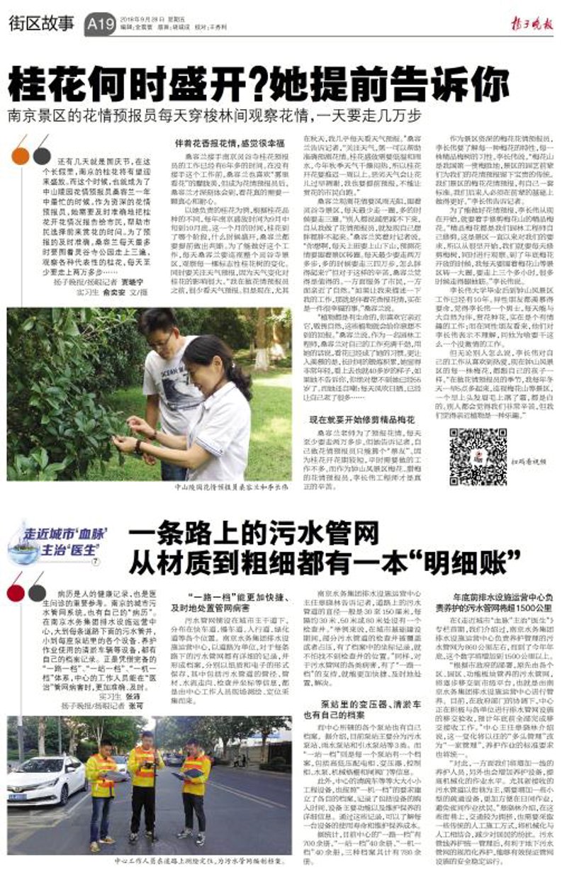 南京推拿:传承与创新的交融
